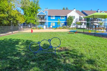 Hound pound dog park